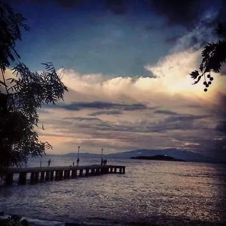 Yanna Ολυμπιάδα