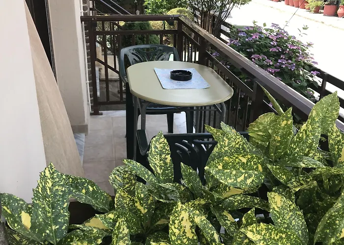 Yanna * 奥林匹亚达