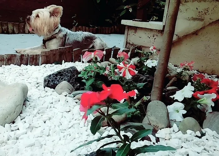 Yanna 公寓 奥林匹亚达