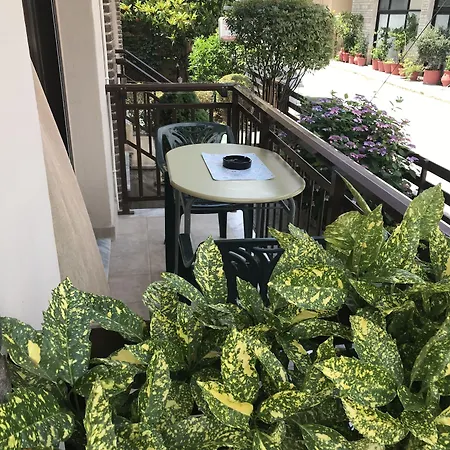 Yanna * 올림피아다